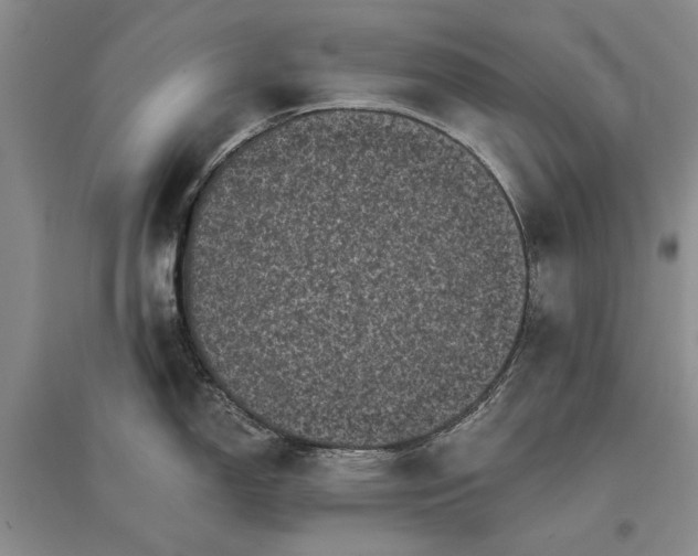 X0000096981150200802291139