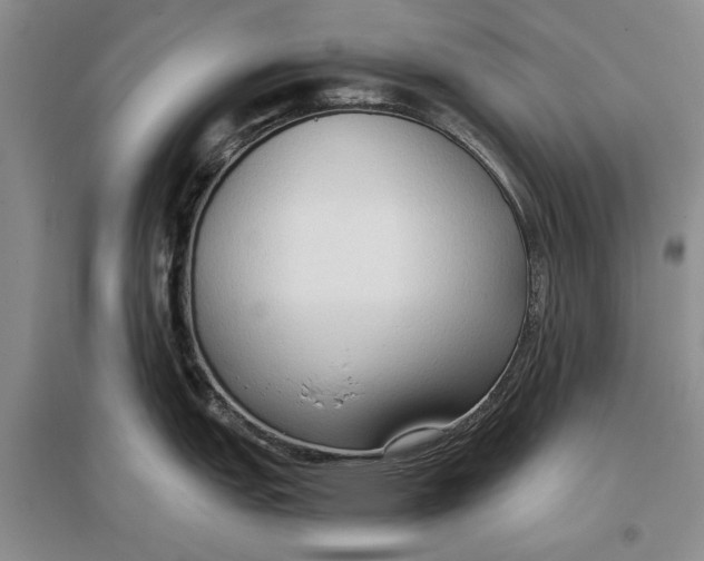 X0000096981151200802291140