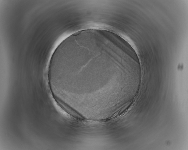 X0000096981152200802291140