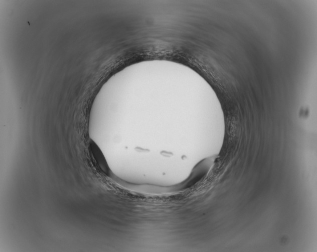 X0000096981153200802291139