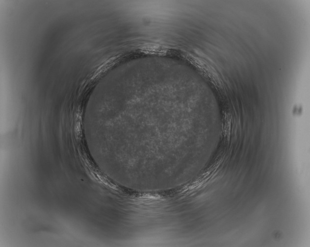 X0000096981154200802291139