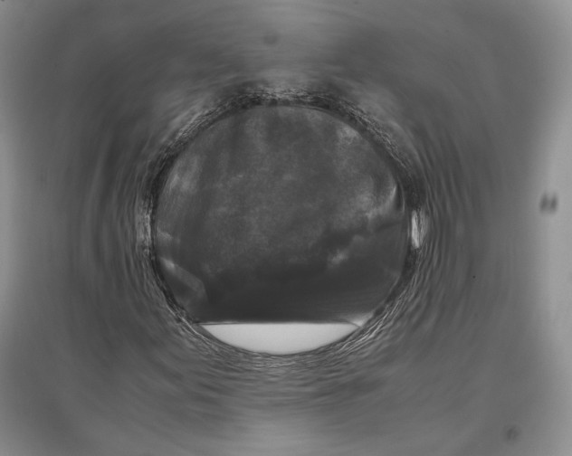 X0000096981155200802291139