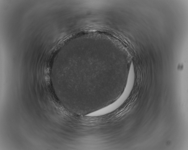 X0000096981156200802291139