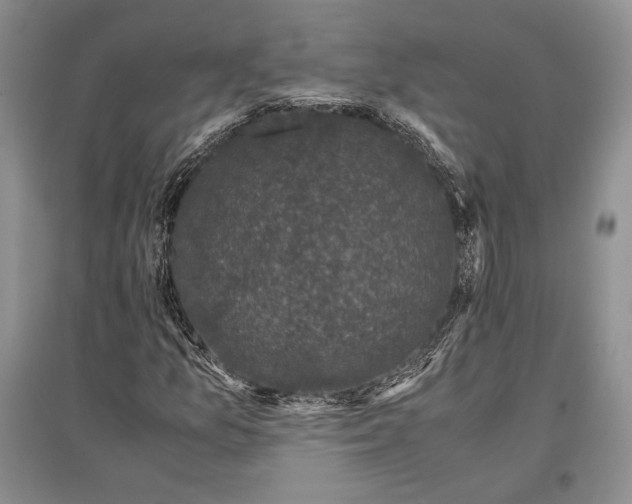 X0000096981157200802291139