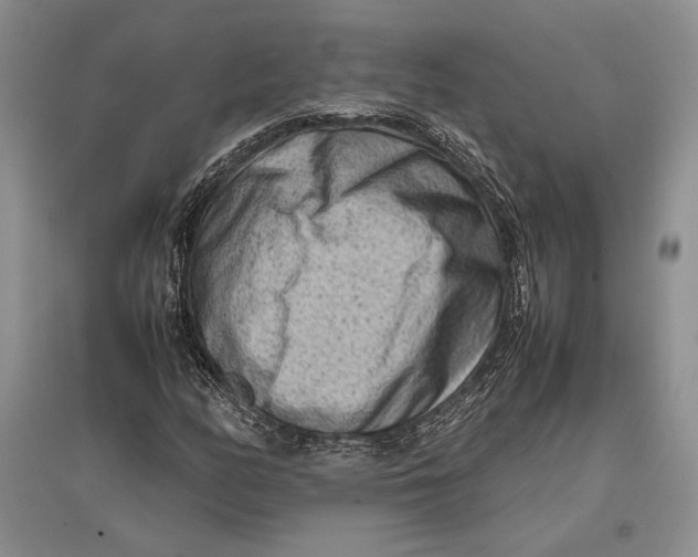 X0000096981158200802291139