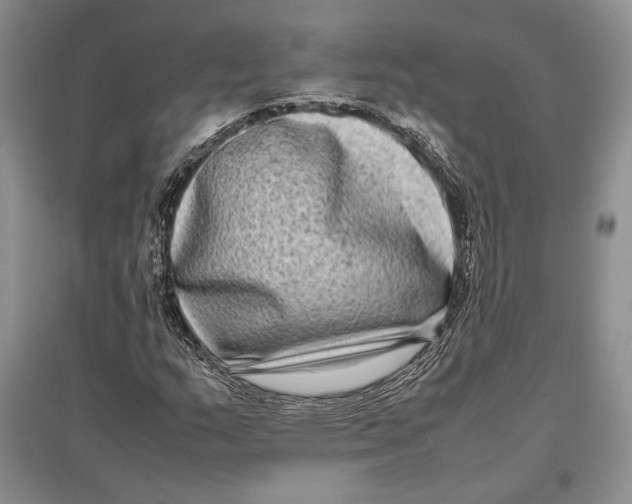 X0000096981159200802291139