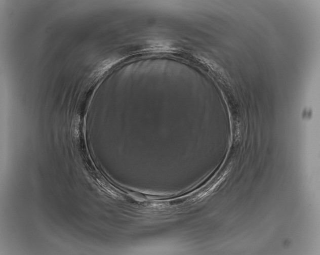 X0000096981161200802291139