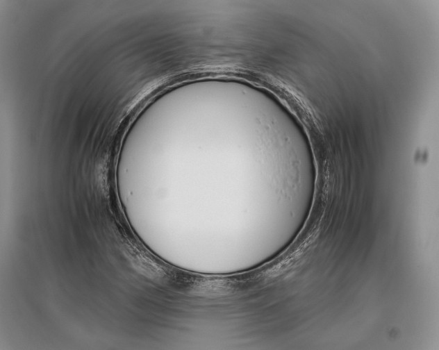 X0000096981162200802291139