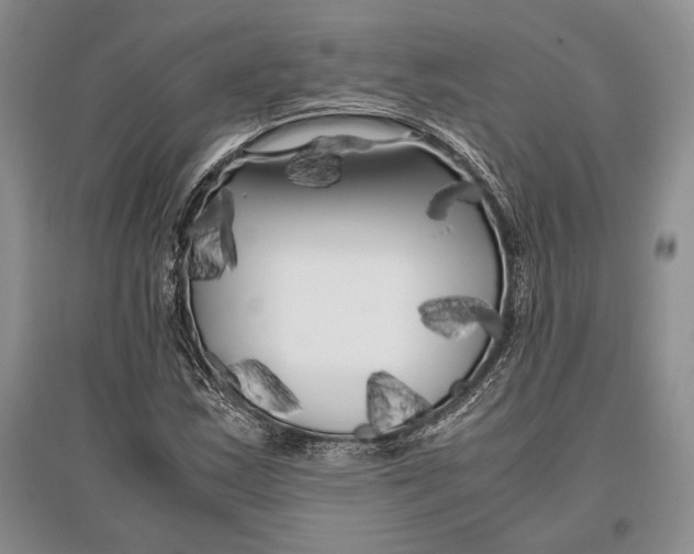 X0000096981163200802291139