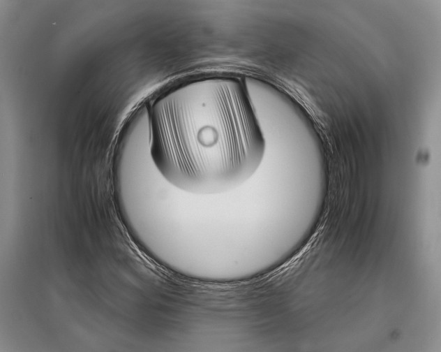 X0000096981164200802291139