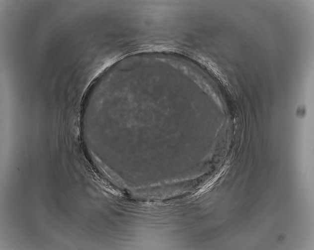 X0000096981165200802291139