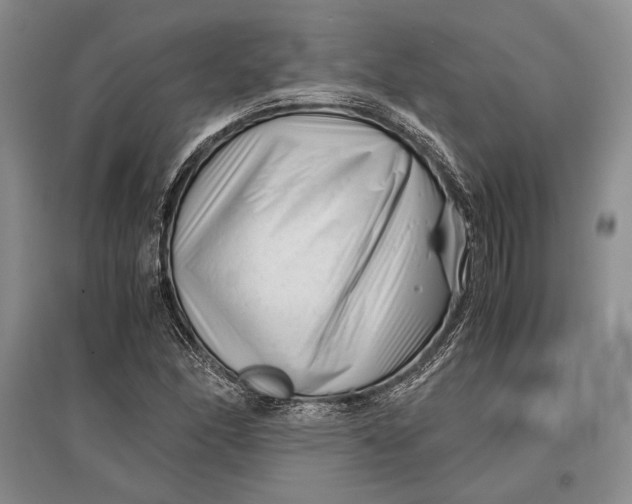 X0000096981166200802291139