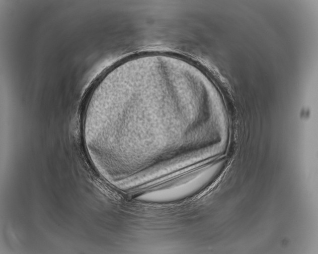 X0000096981167200802291139