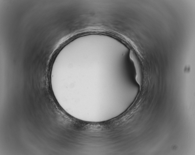 X0000096981168200802291139