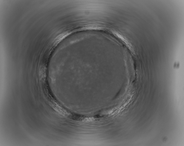 X0000096981169200802291139