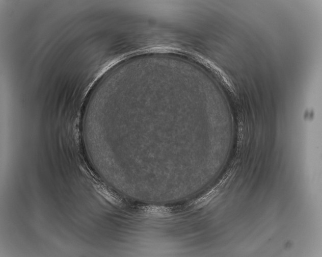 X0000096981170200802291139