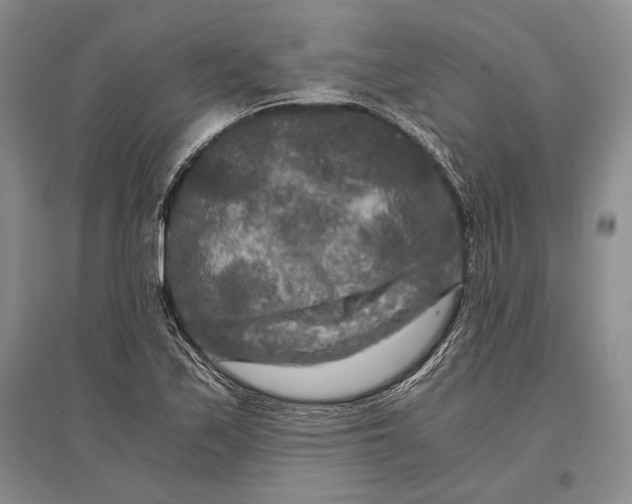 X0000096981171200802291139