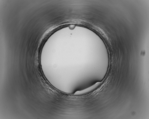 X0000096981172200802291139