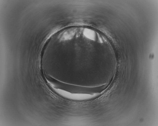 X0000096981173200802291139