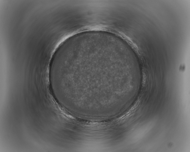 X0000096981174200802291139