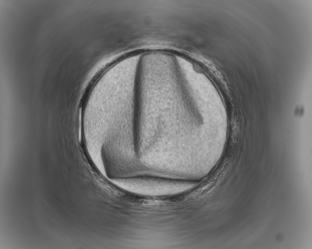 X0000096981175200802291138