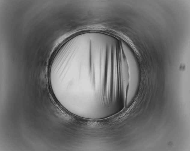 X0000096981176200802291138