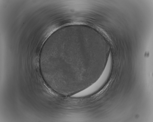 X0000096981177200802291138