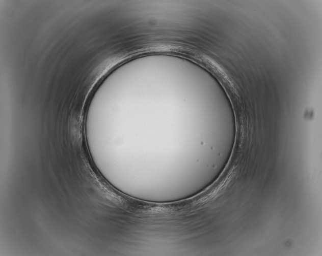 X0000096981178200802291138