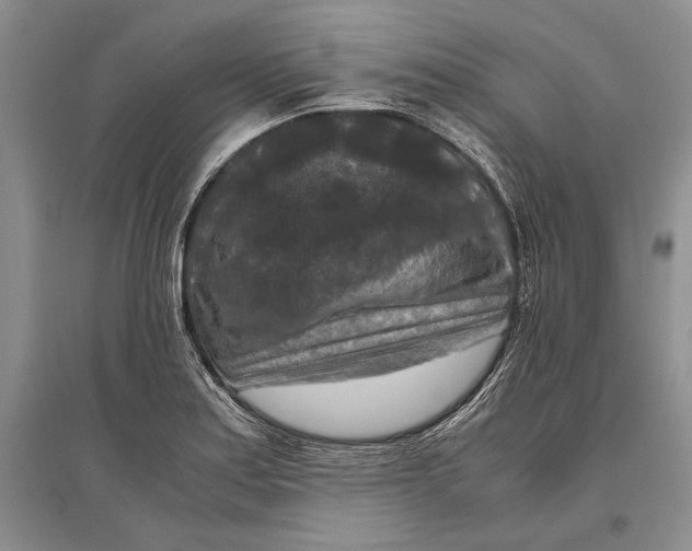 X0000096981179200802291138