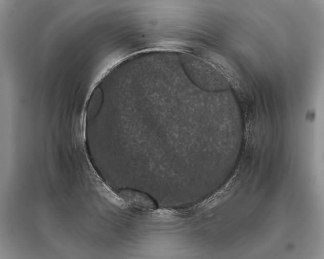 X0000096981180200802291138