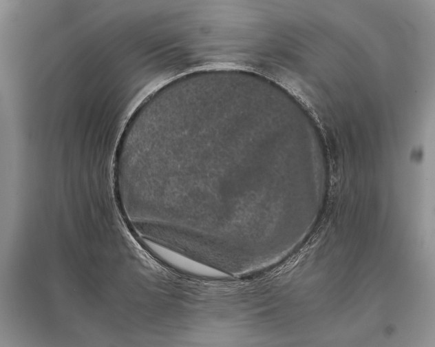 X0000096981181200802291138