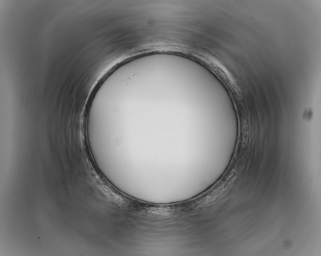 X0000096981182200802291138