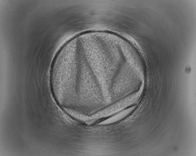 X0000096981183200802291138