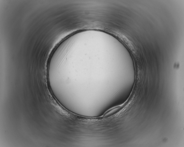 X0000096981184200802291138