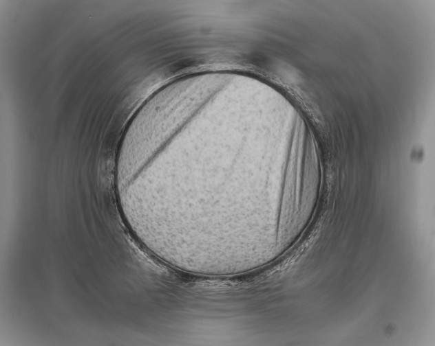 X0000096981185200802291138