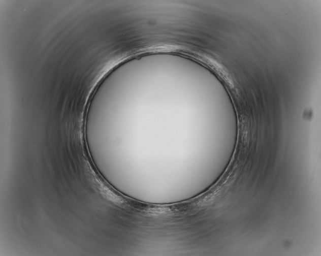 X0000096981186200802291138