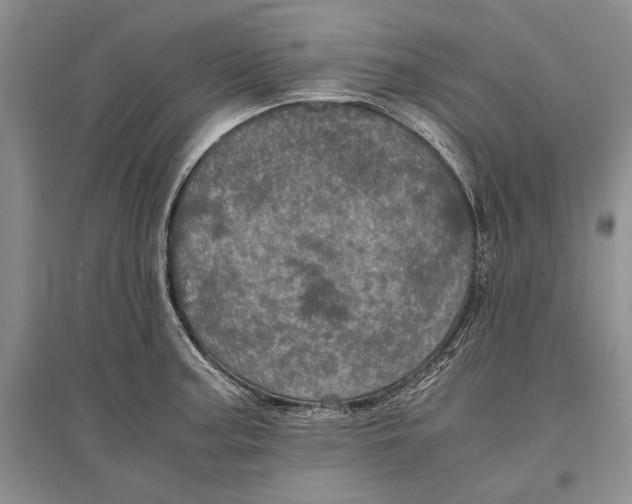 X0000096981187200802291138