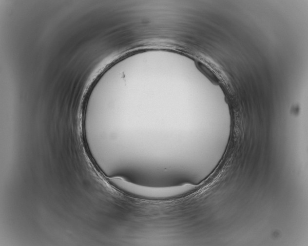 X0000096981188200802291138