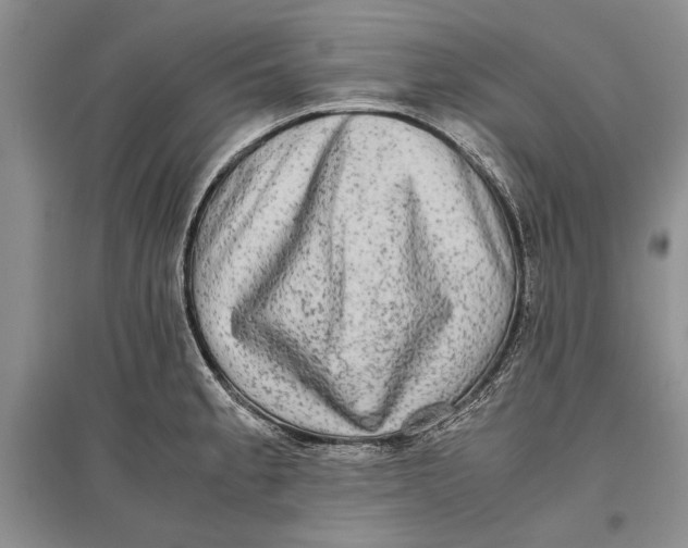 X0000096981189200802291138