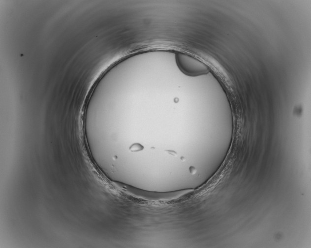 X0000096981190200802291138