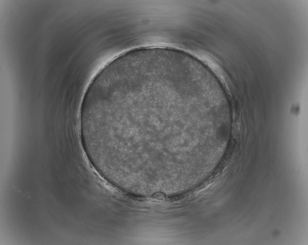 X0000096981191200802291138