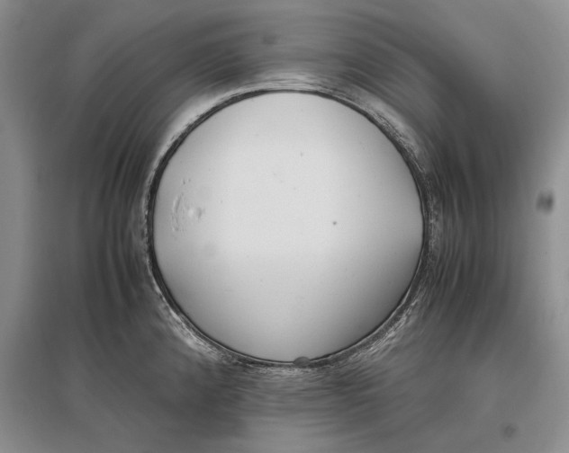 X0000096981192200802291138