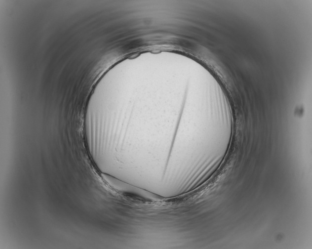 X0000096981193200802291138