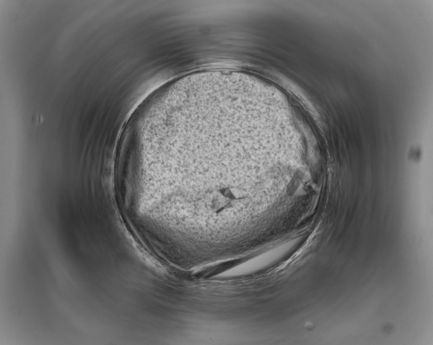 X0000096981194200802291138