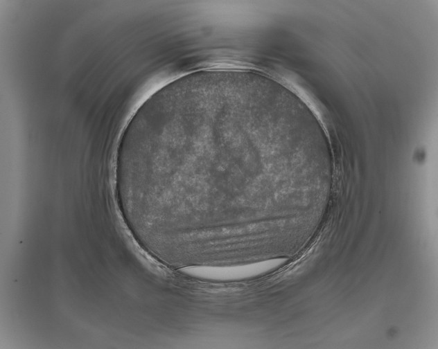 X0000096981195200802291138