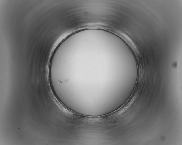 X0000096981196200802291138