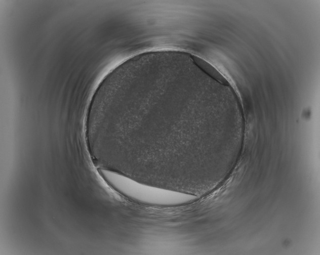 X0000096981197200802291138