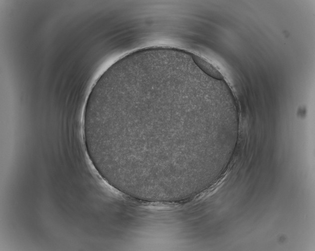 X0000096981199200802291138