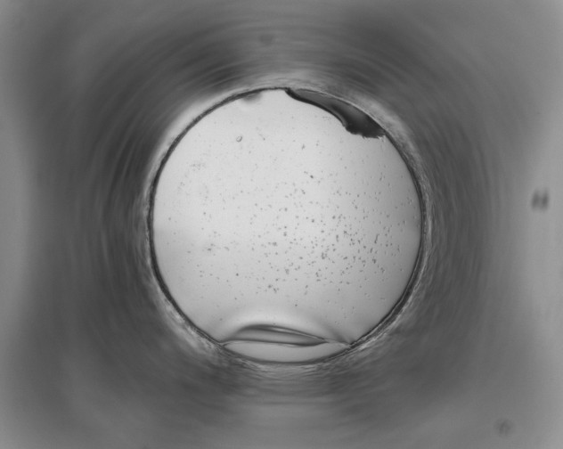 X0000096981200200802291138