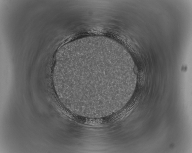 X0000096981201200802291137